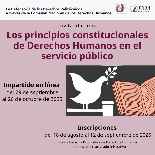 Principios Constitucionales 